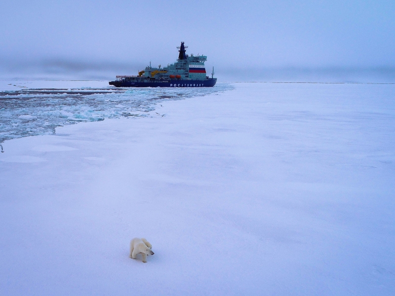 Универсальный атомный ледокол «Арктика»